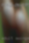 Adult swingers classified Reno